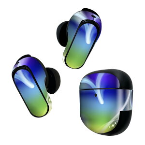 Bose QuietComfort Earbuds II p XLV[ {[Y CobY2 p@XebJ[@{3Zbg P[X1Zbg ی tB fR Jt@u@n[g 002292