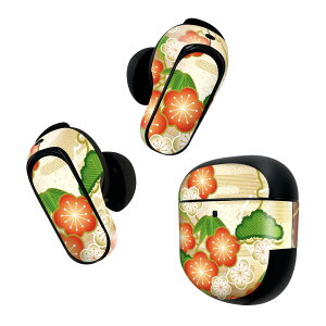 Bose QuietComfort Earbuds II p XLV[ {[Y CobY2 p@XebJ[@{3Zbg P[X1Zbg ی tB fR ԁ@a@a 002509