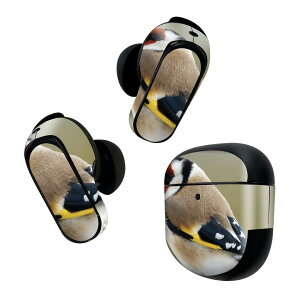 Bose QuietComfort Earbuds II p XLV[ {[Y CobY2 p@XebJ[@{3Zbg P[X1Zbg ی tB fR @@ʐ^ 002605