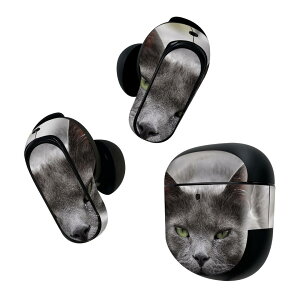 Bose QuietComfort Earbuds II p XLV[ {[Y CobY2 p@XebJ[@{3Zbg P[X1Zbg ی tB fR L@@ʐ^ 002650