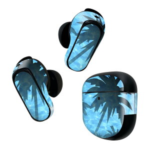 Bose QuietComfort Earbuds II p XLV[ {[Y CobY2 p@XebJ[@{3Zbg P[X1Zbg ی tB fR ā@C@CXg 002685