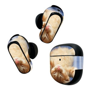 Bose QuietComfort Earbuds II p XLV[ {[Y CobY2 p@XebJ[@{3Zbg P[X1Zbg ی tB fR L@@ʐ^ 002759