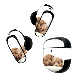 Bose QuietComfort Earbuds II p XLV[ {[Y CobY2 p@XebJ[@{3Zbg P[X1Zbg ی tB fR @@ʐ^ 002770