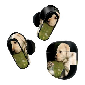 Bose QuietComfort Earbuds II p XLV[ {[Y CobY2 p@XebJ[@{3Zbg P[X1Zbg ی tB fR @L@@ʐ^ 002794