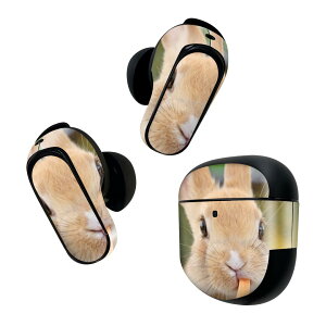 Bose QuietComfort Earbuds II p XLV[ {[Y CobY2 p@XebJ[@{3Zbg P[X1Zbg ی tB fR @@ʐ^ 002807