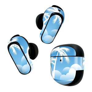Bose QuietComfort Earbuds II �p �X�L���V�[�� �{�[�Y �C���o�b�Y2 �p�@�X�e�b�J�[�@�{��3�Z�b�g �P�[�X1�Z�b�g �ی� �t�B���� �f�R �C�@�C���X�g�@�� 002815