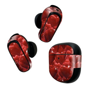 Bose QuietComfort Earbuds II p XLV[ {[Y CobY2 p@XebJ[@{3Zbg P[X1Zbg ی tB fR n[g@ 002851
