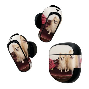 Bose QuietComfort Earbuds II p XLV[ {[Y CobY2 p@XebJ[@{3Zbg P[X1Zbg ی tB fR @@ʐ^ 002913