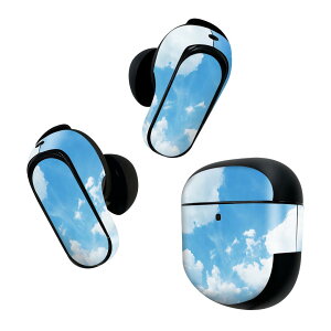 Bose QuietComfort Earbuds II �p �X�L���V�[�� �{�[�Y �C���o�b�Y2 �p�@�X�e�b�J�[�@�{��3�Z�b�g �P�[�X1�Z�b�g �ی� �t�B���� �f�R ��@�ʐ^�@�i�F 003474