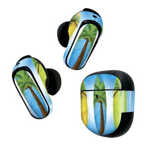 Bose QuietComfort Earbuds II �p �X�L���V�[�� �{�[�Y �C���o�b�Y2 �p�@�X�e�b�J�[�@�{��3�Z�b�g �P�[�X1�Z�b�g �ی� �t�B���� �f�R �T�[�t�B���@�C�@�C���X�g 003586