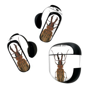 Bose QuietComfort Earbuds II p XLV[ {[Y CobY2 p@XebJ[@{3Zbg P[X1Zbg ی tB fR  long horned beetle J~LV 020004