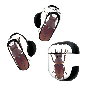 Bose QuietComfort Earbuds II p XLV[ {[Y CobY2 p@XebJ[@{3Zbg P[X1Zbg ی tB fR  stag beetle NK^V 020005