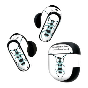 Bose QuietComfort Earbuds II p XLV[ {[Y CobY2 p@XebJ[@{3Zbg P[X1Zbg ی tB fR   Rosalia coelestis RGXeBX 020011