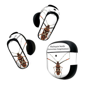 Bose QuietComfort Earbuds II �p �X�L���V�[�� �{�[�Y �C���o�b�Y2 �p�@�X�e�b�J�[�@�{��3�Z�b�g �P�[�X1�Z�b�g �ی� �t�B���� �f�R �� �� �n�[���N�C���r�[�g�� 020012