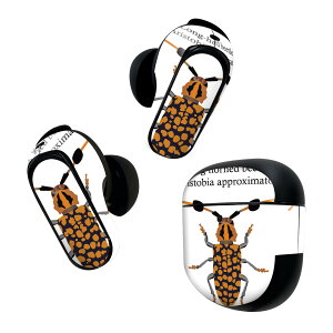 Bose QuietComfort Earbuds II p XLV[ {[Y CobY2 p@XebJ[@{3Zbg P[X1Zbg ی tB fR   XgrAߎ 020013