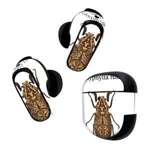 Bose QuietComfort Earbuds II p XLV[ {[Y CobY2 p@XebJ[@{3Zbg P[X1Zbg ی tB fR   polyphylla fullo qQRKl 020014
