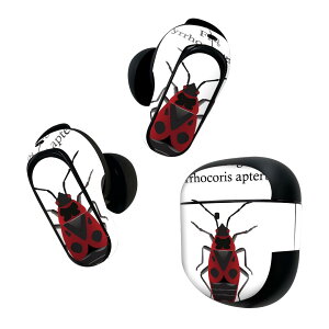 Bose QuietComfort Earbuds II �p �X�L���V�[�� �{�[�Y �C���o�b�Y2 �p�@�X�e�b�J�[�@�{��3�Z�b�g �P�[�X1�Z�b�g �ی� �t�B���� �f�R �� �� irebug �t�@�C�A�o�O 020021
