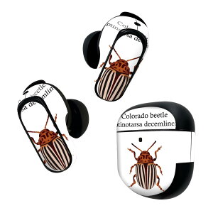 Bose QuietComfort Earbuds II p XLV[ {[Y CobY2 p@XebJ[@{3Zbg P[X1Zbg ی tB fR   colorado beetle RhnV 020022