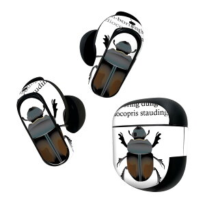 Bose QuietComfort Earbuds II p XLV[ {[Y CobY2 p@XebJ[@{3Zbg P[X1Zbg ی tB fR   Dung Beetle tRKV 020025