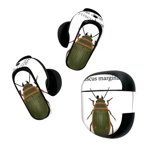 Bose QuietComfort Earbuds II p XLV[ {[Y CobY2 p@XebJ[@{3Zbg P[X1Zbg ی tB fR   great diving beetle G]QSE 020026