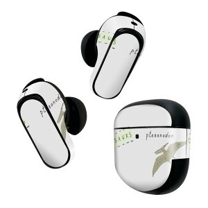 Bose QuietComfort Earbuds II �p �X�L���V�[�� �{�[�Y �C���o�b�Y2 �p�@�X�e�b�J�[�@�{��3�Z�b�g �P�[�X1�Z�b�g �ی� �t�B���� �f�R �}�X�N�f�U�C�� ���� �v�e���m�h�� 020786