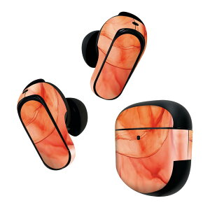 Bose QuietComfort Earbuds II �p �X�L���V�[�� �{�[�Y �C���o�b�Y2 �p�@�X�e�b�J�[�@�{��3�Z�b�g �P�[�X1�Z�b�g �ی� �t�B���� �f�R �J���t�� 022835