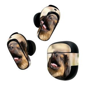 Bose QuietComfort Earbuds II p XLV[ {[Y CobY2 p@XebJ[@{3Zbg P[X1Zbg ی tB fR @@ʐ^ 022861