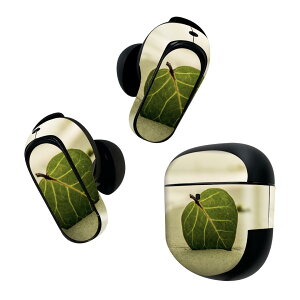 Bose QuietComfort Earbuds II p XLV[ {[Y CobY2 p@XebJ[@{3Zbg P[X1Zbg ی tB fR C@tρ@ʐ^ 022945