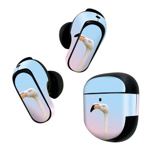 Bose QuietComfort Earbuds II �p �X�L���V�[�� �{�[�Y �C���o�b�Y2 �p�@�X�e�b�J�[�@�{��3�Z�b�g �P�[�X1�Z�b�g �ی� �t�B���� �f�R �t���~���S�@�J���t���@�� 022982