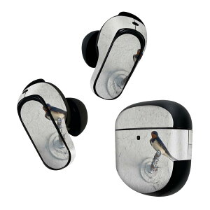 Bose QuietComfort Earbuds II �p �X�L���V�[�� �{�[�Y �C���o�b�Y2 �p�@�X�e�b�J�[�@�{��3�Z�b�g �P�[�X1�Z�b�g �ی� �t�B���� �f�R �c�o���@�ʐ^�@�� 022985
