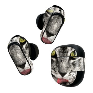 Bose QuietComfort Earbuds II p XLV[ {[Y CobY2 p@XebJ[@{3Zbg P[X1Zbg ی tB fR L@˂@@ʐ^ 023078