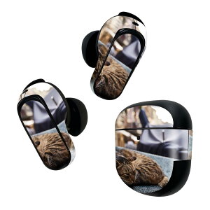 Bose QuietComfort Earbuds II p XLV[ {[Y CobY2 p@XebJ[@{3Zbg P[X1Zbg ی tB fR L@˂@@i@ʐ^ 023084