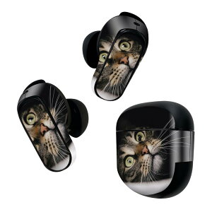 Bose QuietComfort Earbuds II p XLV[ {[Y CobY2 p@XebJ[@{3Zbg P[X1Zbg ی tB fR L@˂@@ʐ^ 023089