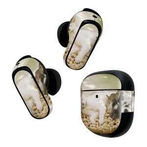 Bose QuietComfort Earbuds II p XLV[ {[Y CobY2 p@XebJ[@{3Zbg P[X1Zbg ی tB fR L@˂@@ʐ^ 023098