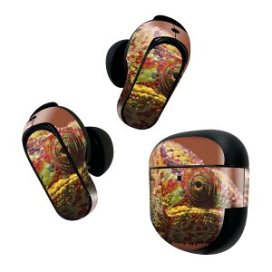 Bose QuietComfort Earbuds II p XLV[ {[Y CobY2 p@XebJ[@{3Zbg P[X1Zbg ی tB fR COAi@ʐ^@Jt 023101