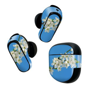 Bose QuietComfort Earbuds II �p �X�L���V�[�� �{�[�Y �C���o�b�Y2 �p�@�X�e�b�J�[�@�{��3�Z�b�g �P�[�X1�Z�b�g �ی� �t�B���� �f�R �ԁ@�ʐ^ 023105