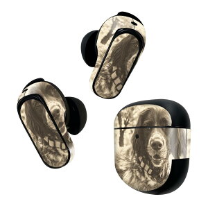 Bose QuietComfort Earbuds II p XLV[ {[Y CobY2 p@XebJ[@{3Zbg P[X1Zbg ی tB fR @ZsA@ 023215