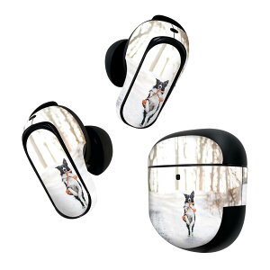 Bose QuietComfort Earbuds II p XLV[ {[Y CobY2 p@XebJ[@{3Zbg P[X1Zbg ی tB fR @ʐ^@ 023218