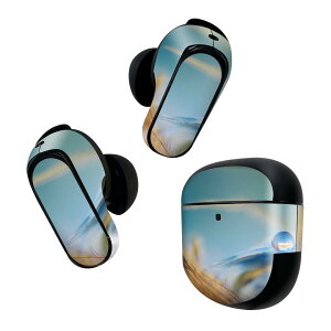 Bose QuietComfort Earbuds II p XLV[ {[Y CobY2 p@XebJ[@{3Zbg P[X1Zbg ی tB fR H@tFU[@ʐ^ 023239