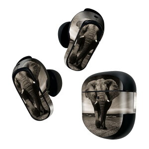 Bose QuietComfort Earbuds II p XLV[ {[Y CobY2 p@XebJ[@{3Zbg P[X1Zbg ی tB fR ]E@@Aj} 023246