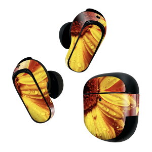 Bose QuietComfort Earbuds II p XLV[ {[Y CobY2 p@XebJ[@{3Zbg P[X1Zbg ی tB fR ԁ@t[@Ђ܂ 023300