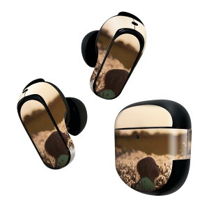 Bose QuietComfort Earbuds II p XLV[ {[Y CobY2 p@XebJ[@{3Zbg P[X1Zbg ی tB fR l@ʐ^@ۂ 023303