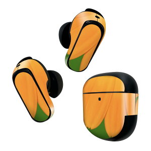 Bose QuietComfort Earbuds II p XLV[ {[Y CobY2 p@XebJ[@{3Zbg P[X1Zbg ی tB fR Ԃт@t[@ʐ^ 023342