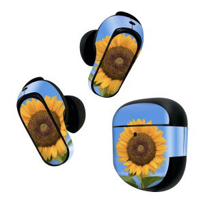 Bose QuietComfort Earbuds II �p �X�L���V�[�� �{�[�Y �C���o�b�Y2 �p�@�X�e�b�J�[�@�{��3�Z�b�g �P�[�X1�Z�b�g �ی� �t�B���� �f�R �ԁ@�t�����[�@�Ђ܂��@�ʐ^ 023365