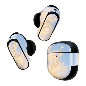 Bose QuietComfort Earbuds II p XLV[ {[Y CobY2 p@XebJ[@{3Zbg P[X1Zbg ی tB fR ʐ^@iF@ppXOX 023405