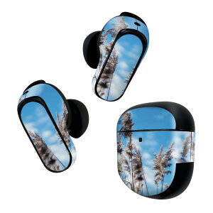 Bose QuietComfort Earbuds II p XLV[ {[Y CobY2 p@XebJ[@{3Zbg P[X1Zbg ی tB fR ʐ^@iF@ppXOX 023406