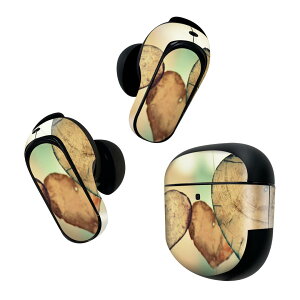 Bose QuietComfort Earbuds II �p �X�L���V�[�� �{�[�Y �C���o�b�Y2 �p�@�X�e�b�J�[�@�{��3�Z�b�g �P�[�X1�Z�b�g �ی� �t�B���� �f�R �n�[�g�@�ʐ^ 023426