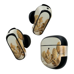 Bose QuietComfort Earbuds II �p �X�L���V�[�� �{�[�Y �C���o�b�Y2 �p�@�X�e�b�J�[�@�{��3�Z�b�g �P�[�X1�Z�b�g �ی� �t�B���� �f�R �ԁ@�t�����[�@ 023453