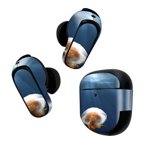Bose QuietComfort Earbuds II �p �X�L���V�[�� �{�[�Y �C���o�b�Y2 �p�@�X�e�b�J�[�@�{��3�Z�b�g �P�[�X1�Z�b�g �ی� �t�B���� �f�R ���炰�@�ʐ^�@�C 023477
