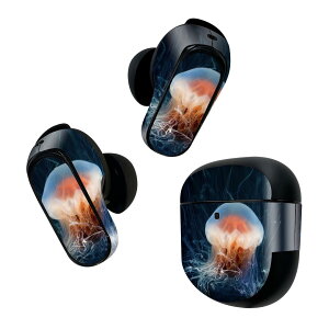Bose QuietComfort Earbuds II �p �X�L���V�[�� �{�[�Y �C���o�b�Y2 �p�@�X�e�b�J�[�@�{��3�Z�b�g �P�[�X1�Z�b�g �ی� �t�B���� �f�R ���炰�@�ʐ^�@�C 023478
